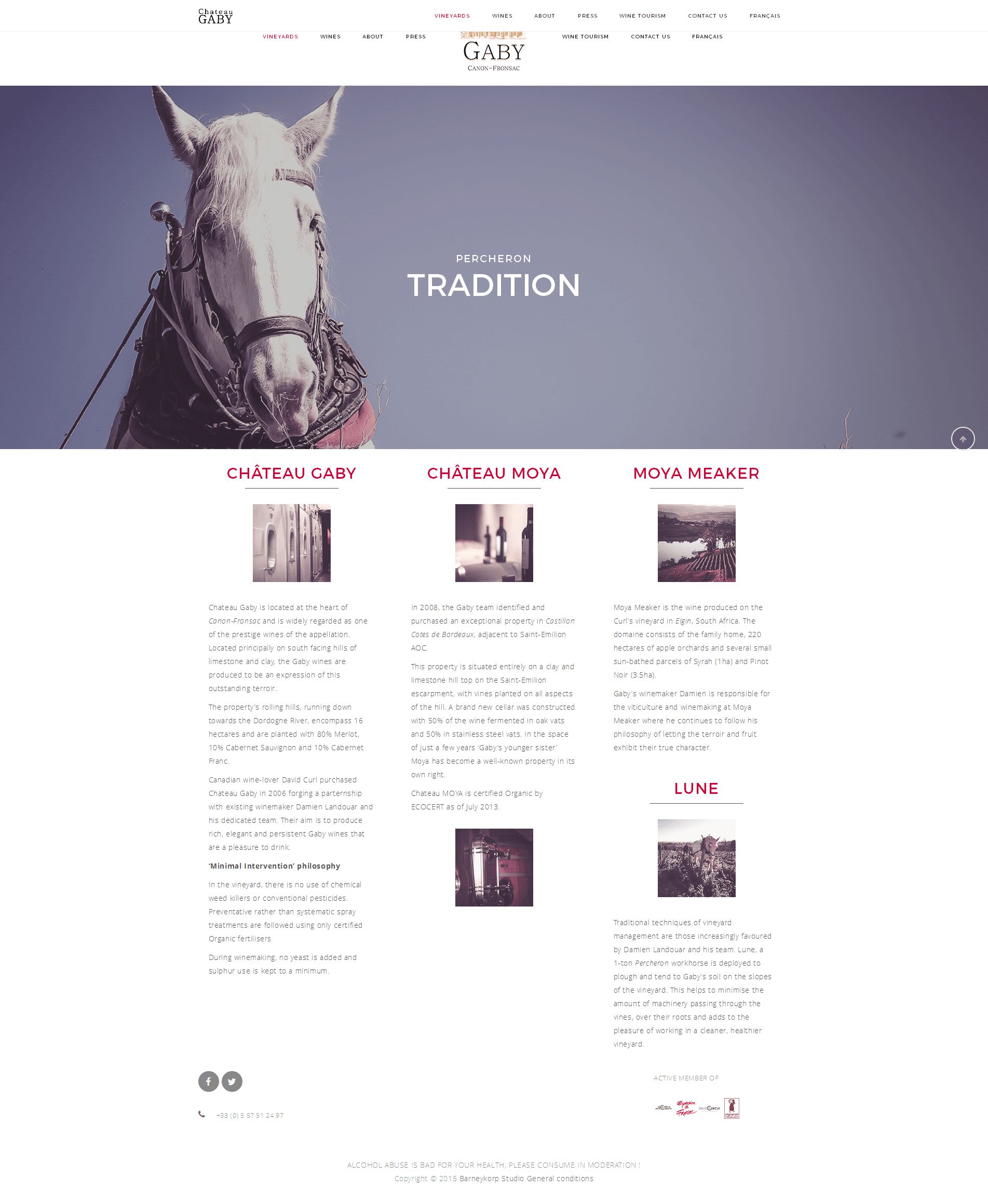 Screenshot site web Château Gaby