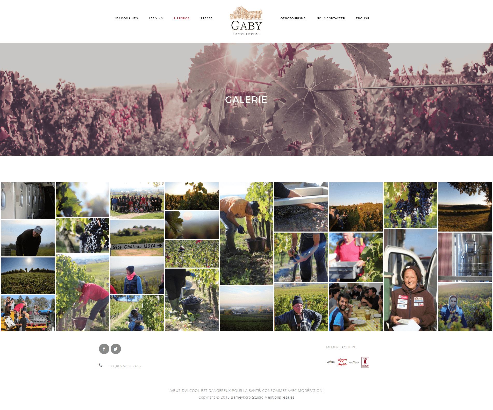 Screenshot site web Château Gaby