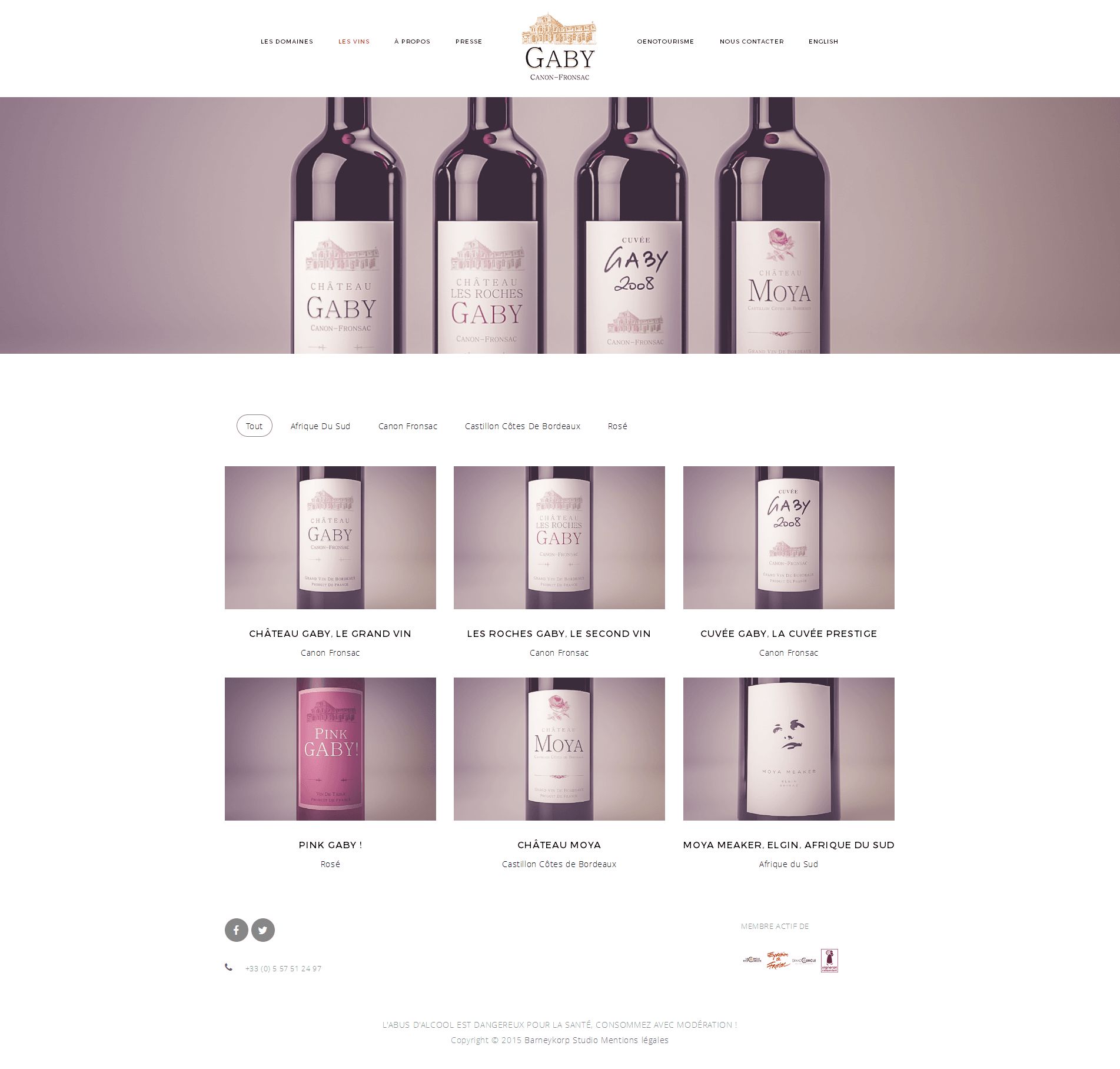 Screenshot site web Château Gaby