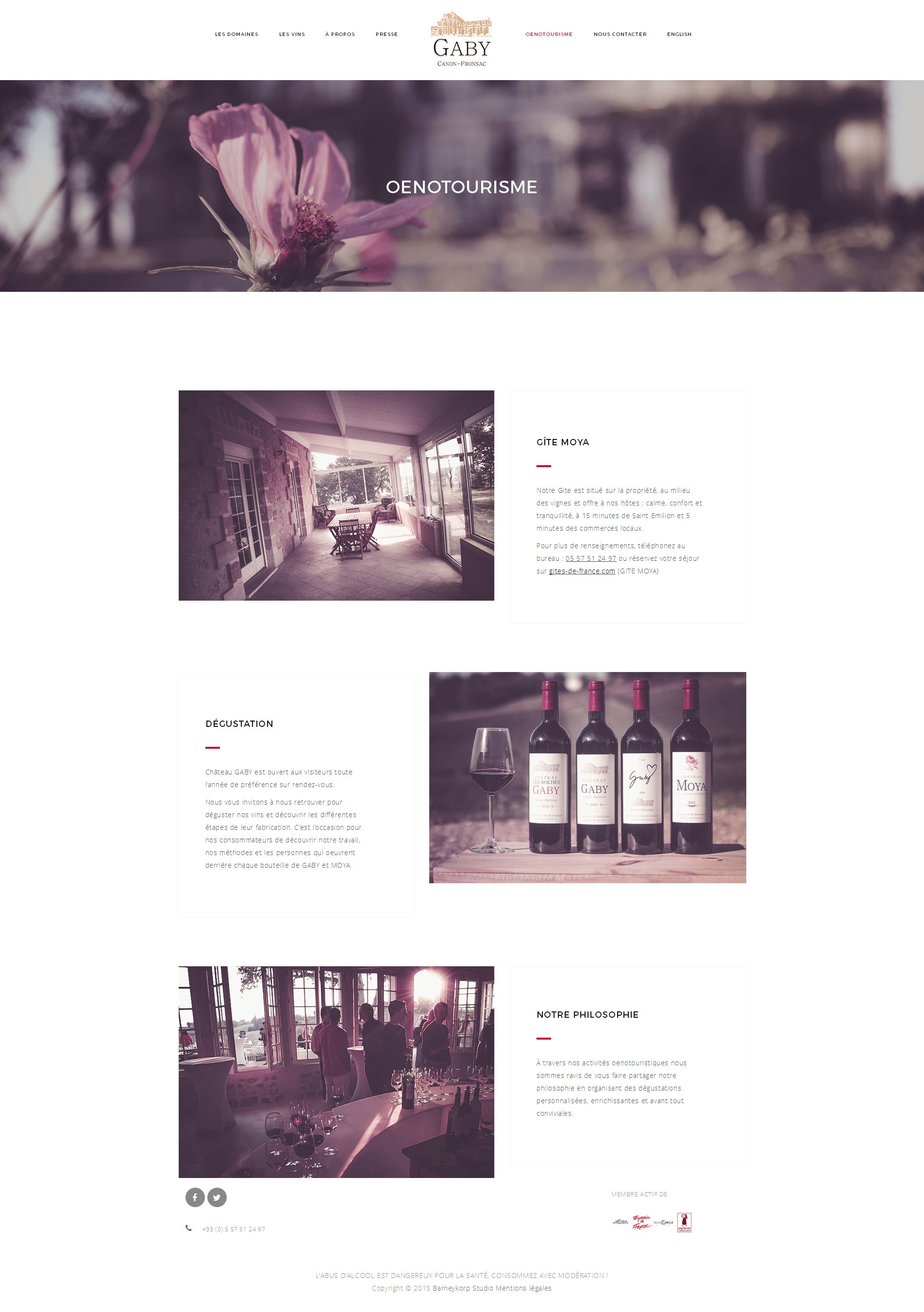 Screenshot site web Château Gaby