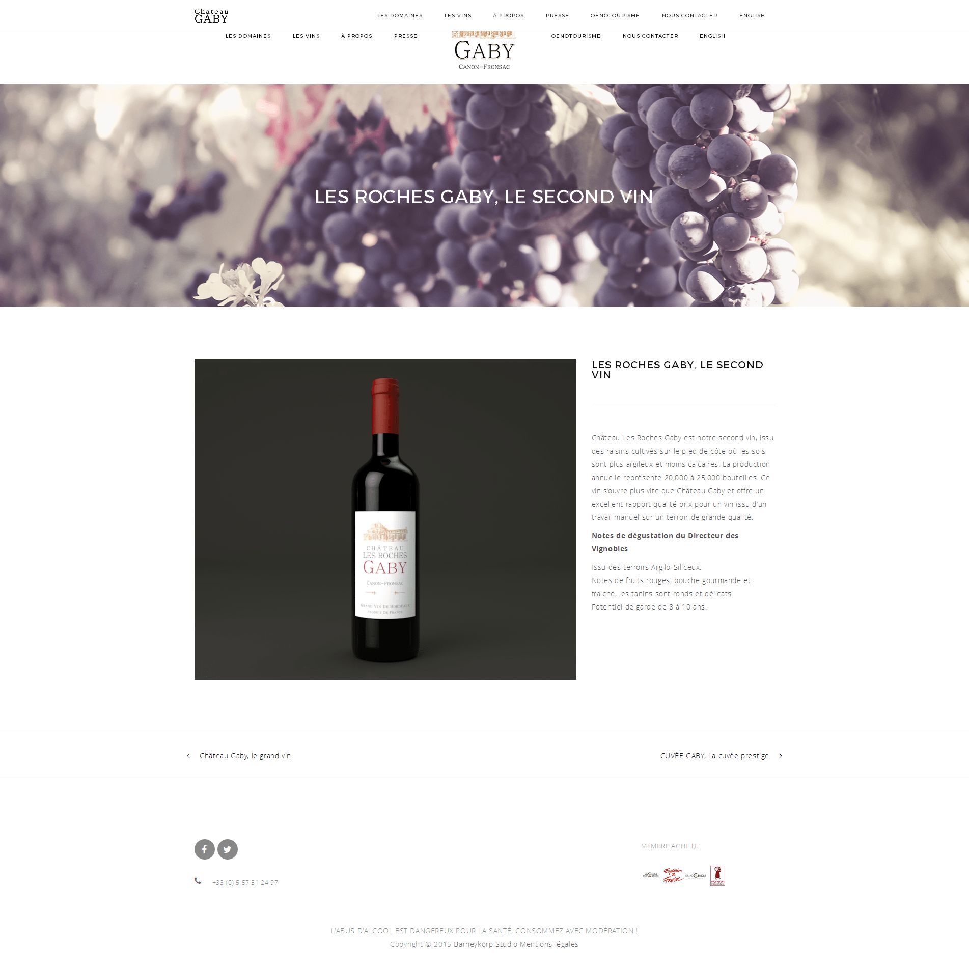 Screenshot site web Château Gaby