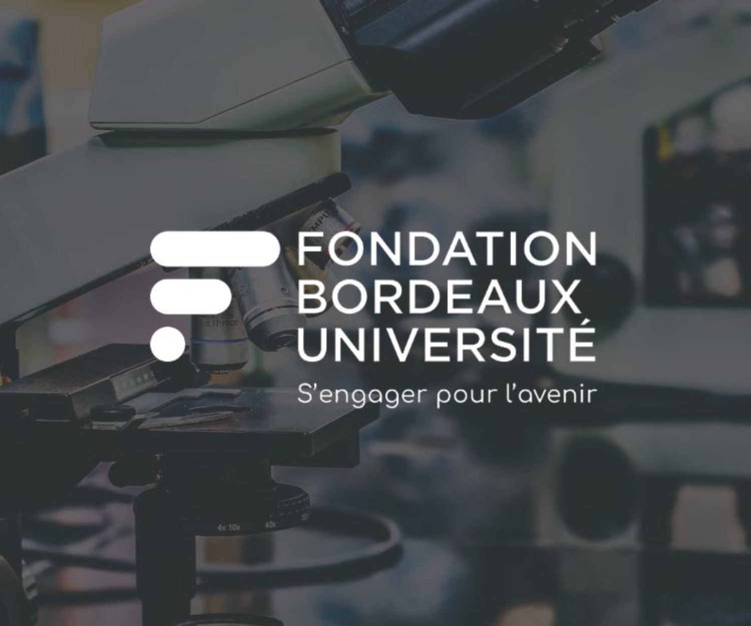 Miniature Université de Bordeaux