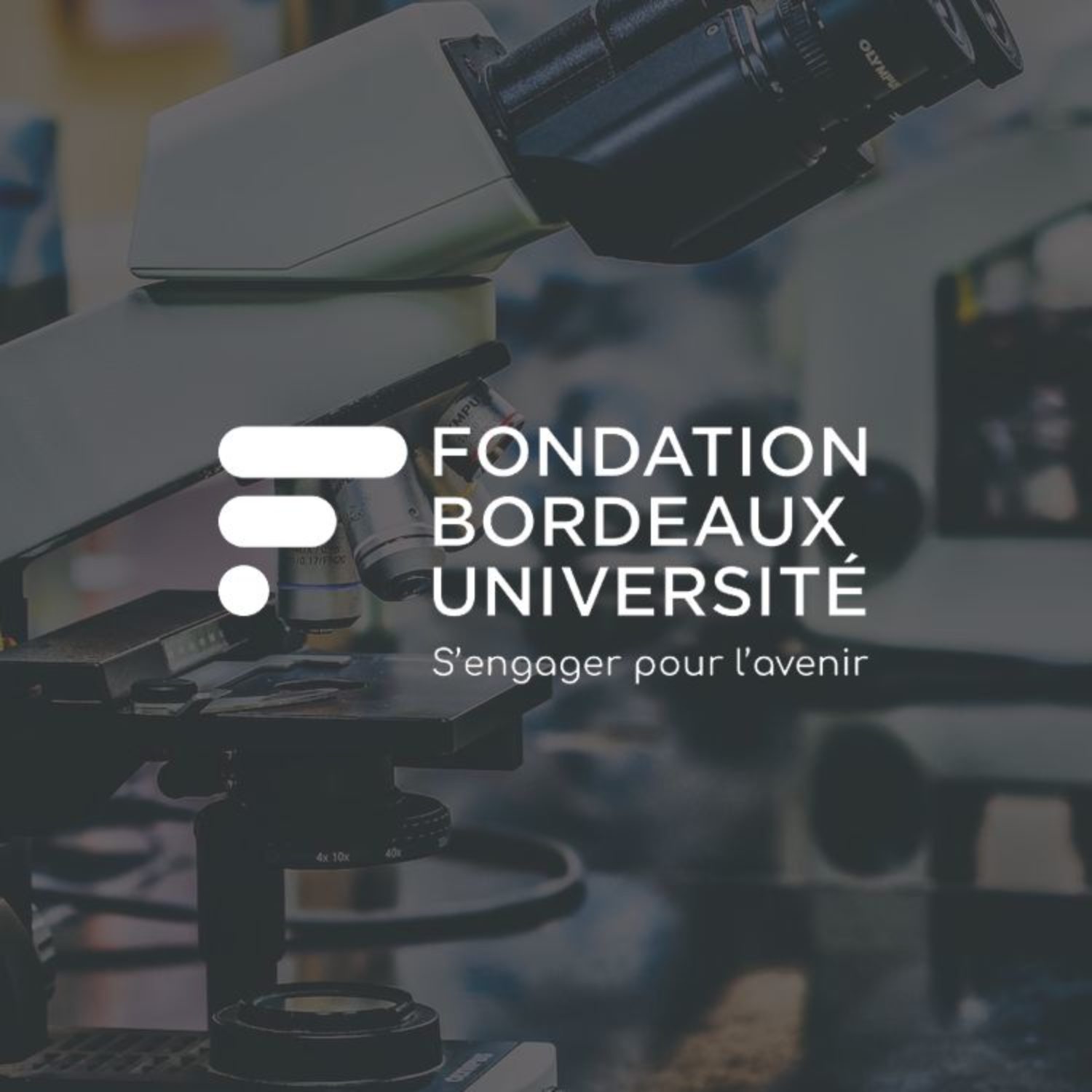 Miniature Université de Bordeaux