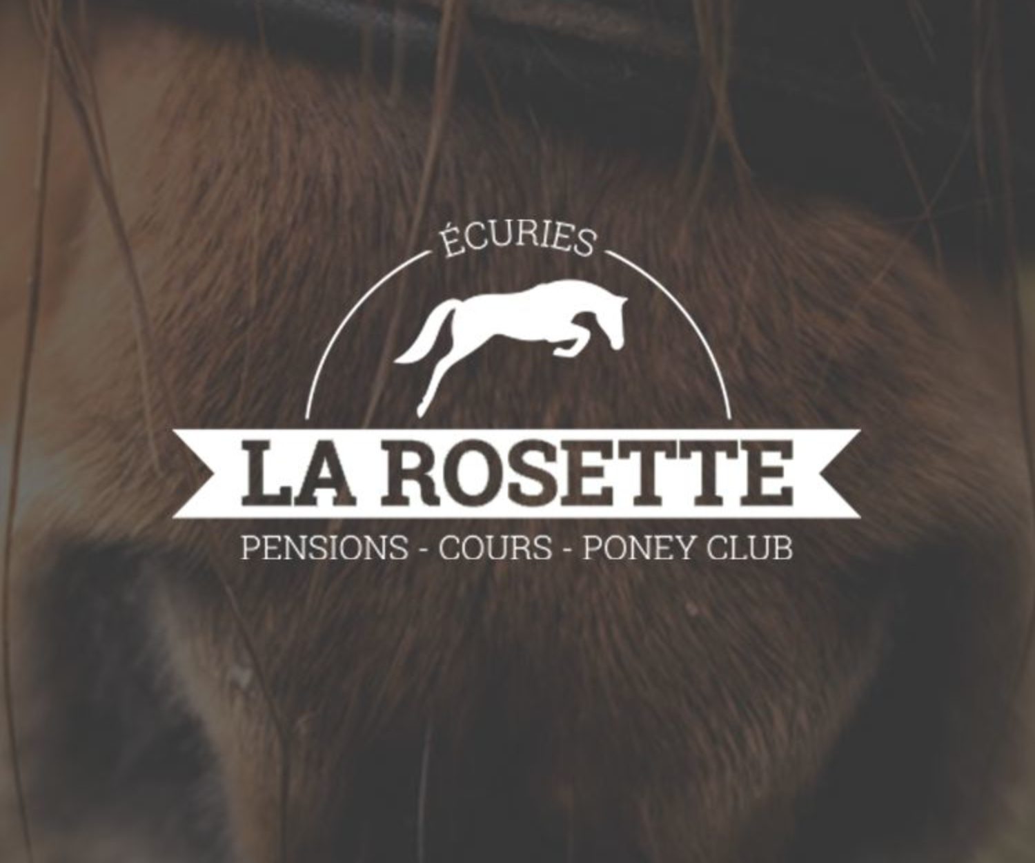 Miniature Écuries de la Rosette