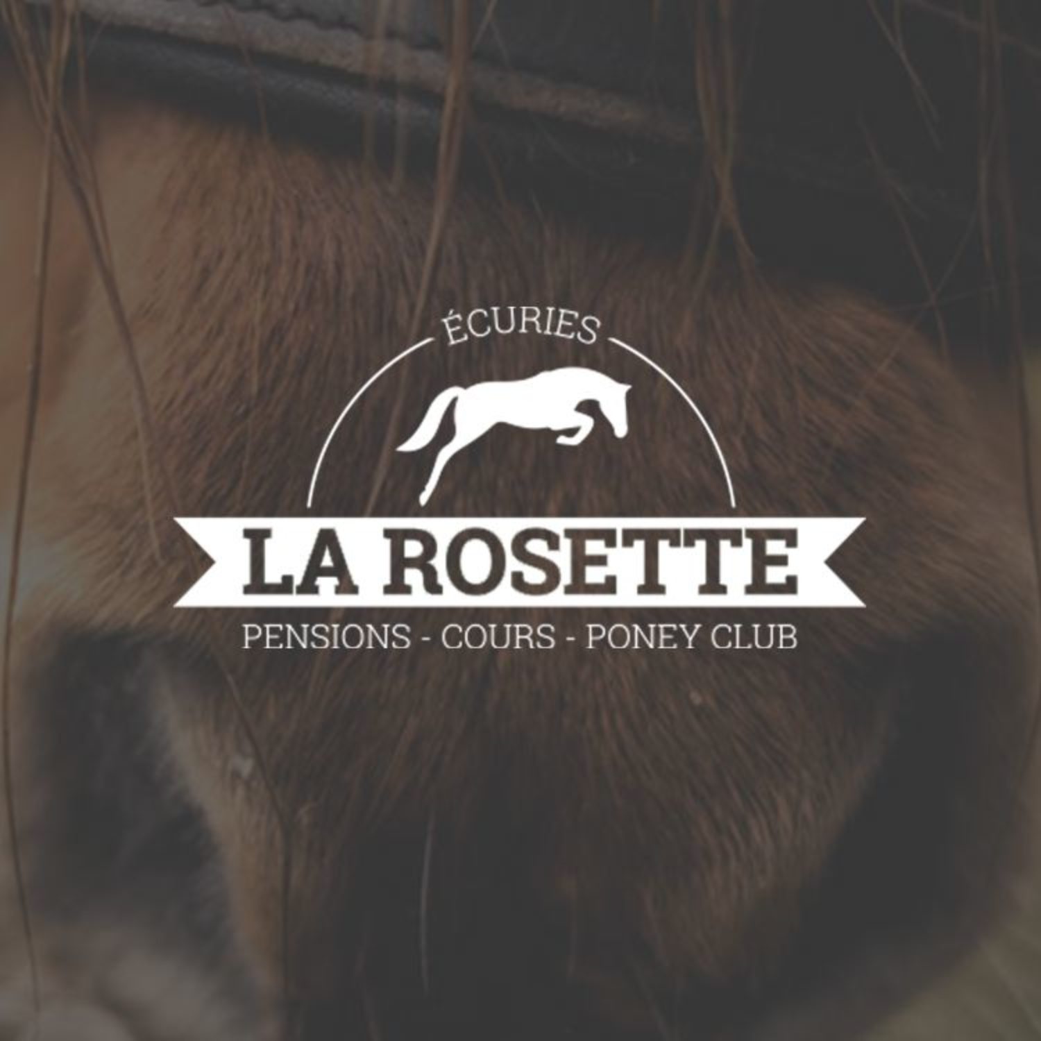 Miniature Écuries de la Rosette