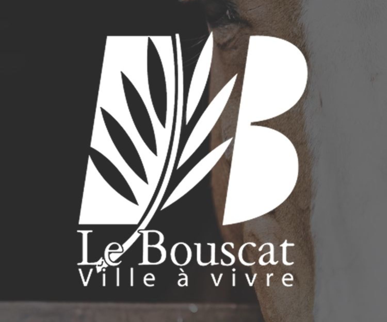 Miniature Mairie du Bouscat