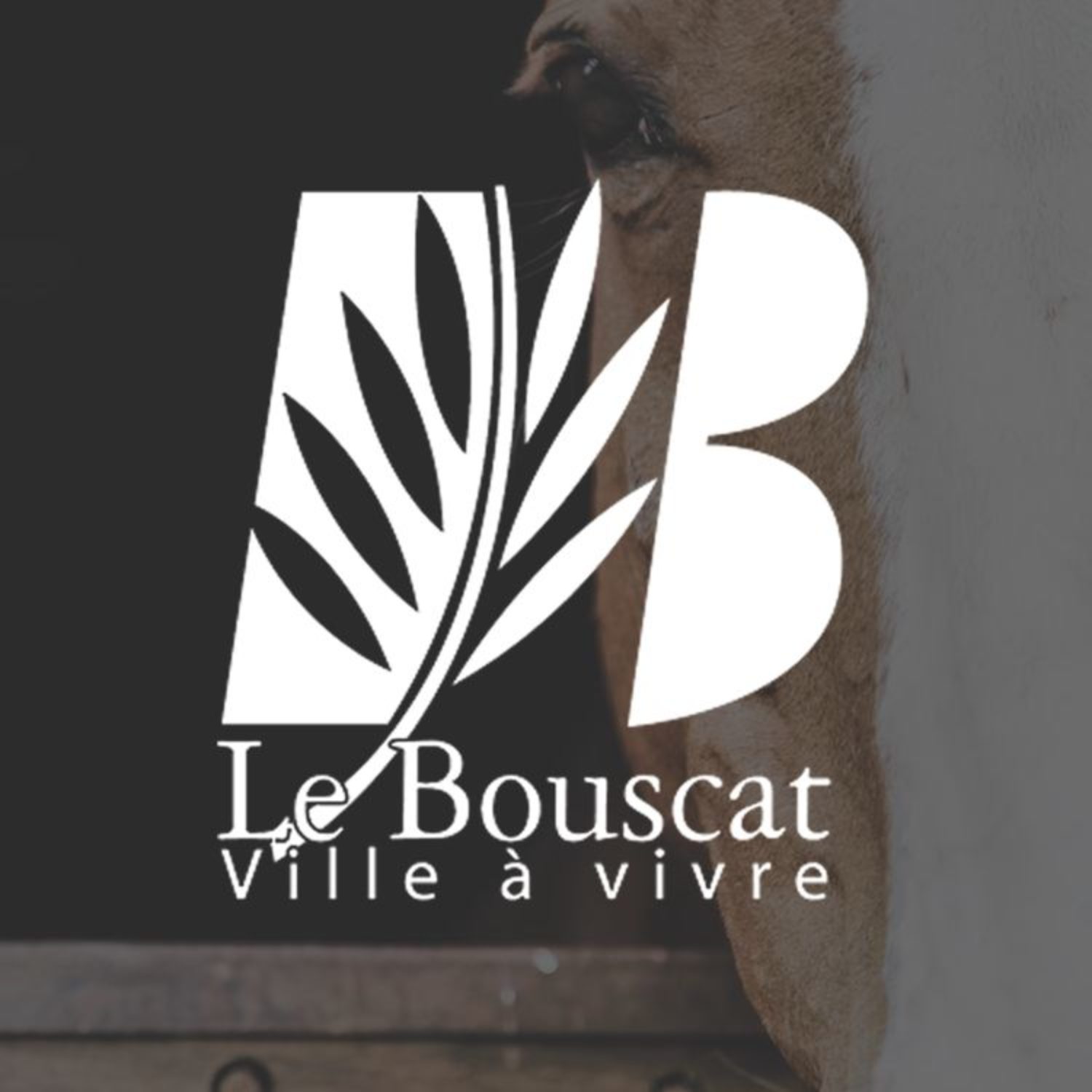 Miniature Mairie du Bouscat