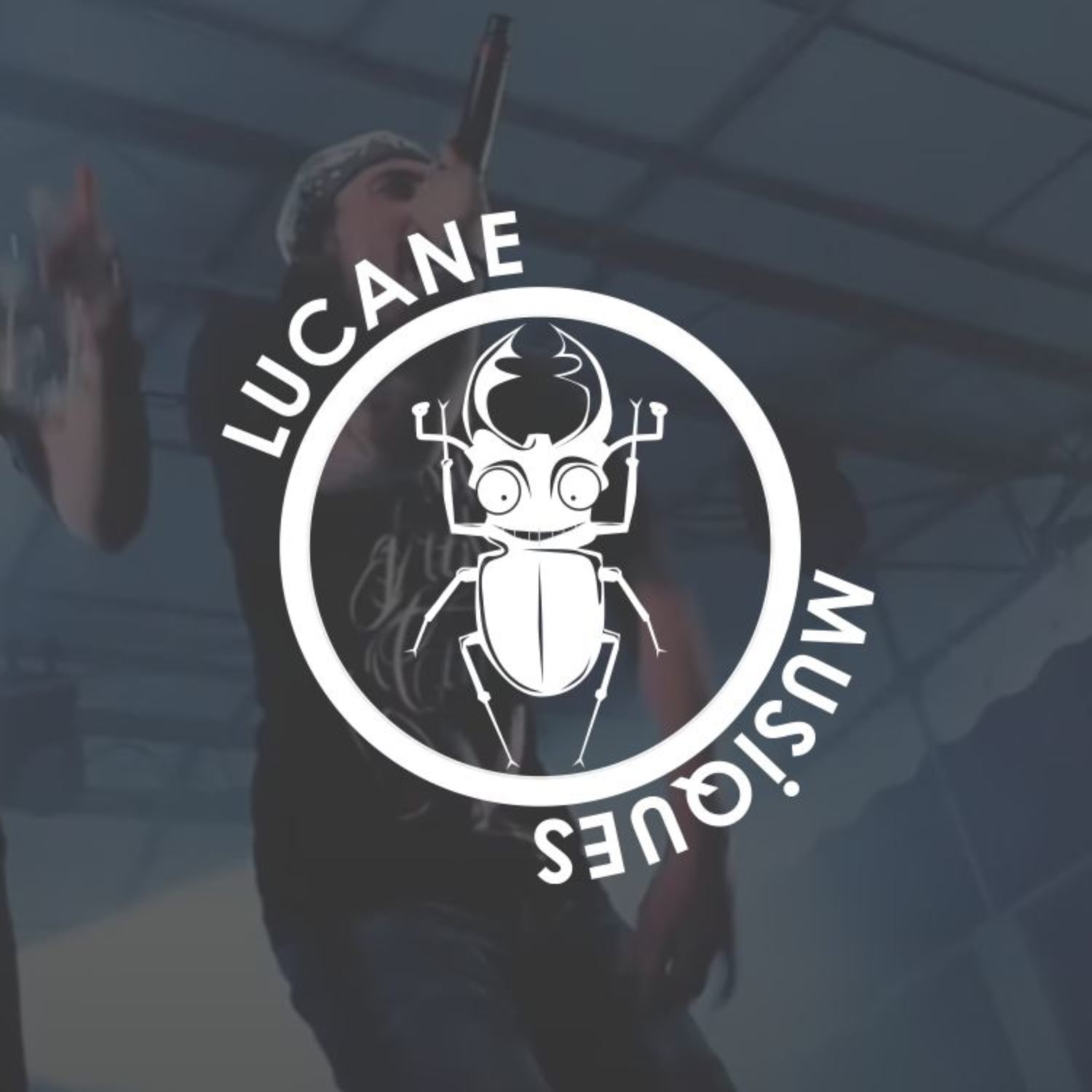 Miniature Lucane Musiques