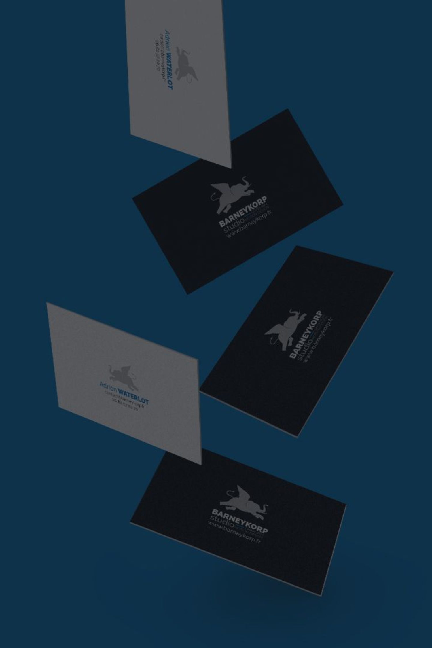 cartes de visites CTA contact